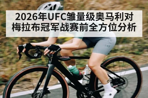 2026年UFC雏量级奥马利对梅拉布冠军战赛前全方位分析